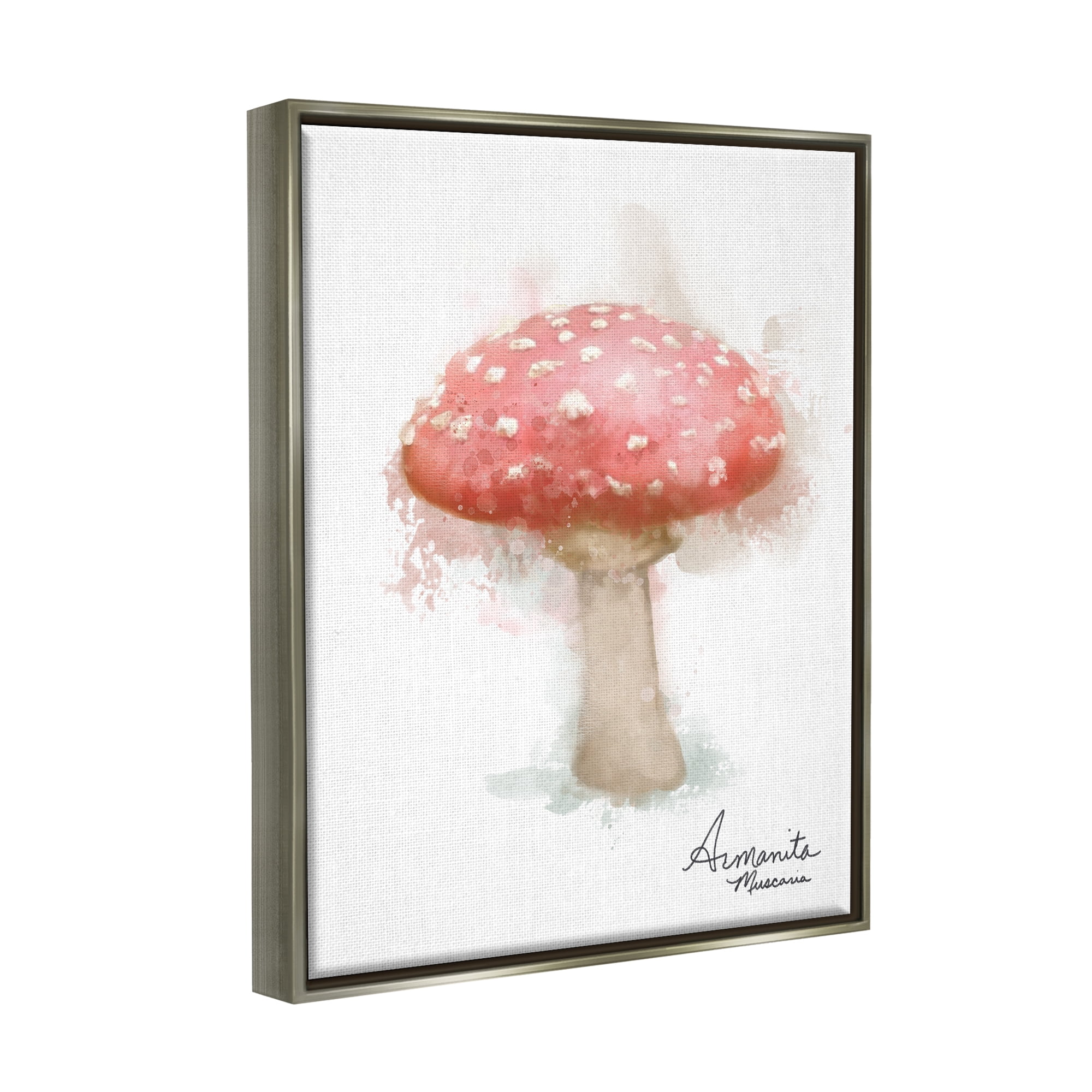 Stupell Industries Abstract Amanita Mushroom Botanical & Floral Painting Gray Floater Framed Canvas Art Print Wall Art, 25 x 31