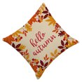 thumbnail image 1 of Naiovety Funda de almohada para sofá, accesorio decorativo con cremallera oculta, funda de almohada para decoración del hogar, estilos modernos, funda Decoración del hogar cuatro 21GM15 Naiovety HA060852-04B, 1 of 6