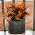 thumbnail image 7 of 8 Bundles Artificial Fall Plants, Outdoor Indoor UV Resistant Fake Boston Fern Faux Plant No Fade Plastic Greenery Shrubs for Autumn Thanksgiving Garden Porch Window Box Home Decor, 7 of 7