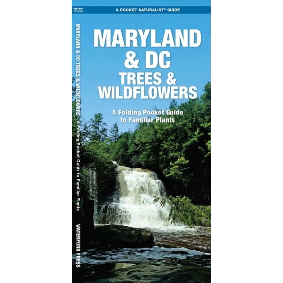 Maryland & DC Trees & Wildflowers: An Introduction to Familiar Species