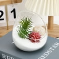 thumbnail image 5 of WRITWAA Thickened Glass Ecological Bottle Terrarium with Lid, Indoor Plant Decor, Miniature Garden Container for Home, 5 of 10