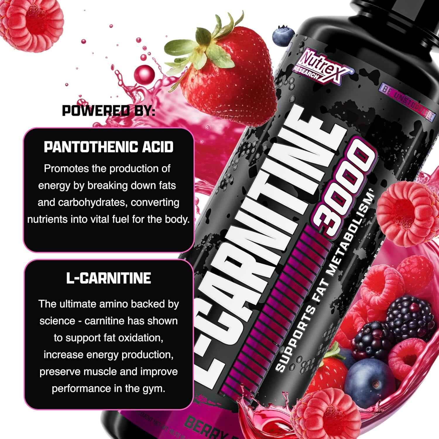 what does the l in l carnitine stand for Nutrex Research L-Carnitine 3000 | Premium L Nicaragua