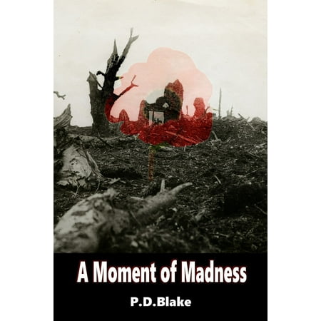 A Moment of Madness - eBook