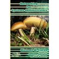 thumbnail image 1 of Pre-Owned Networking for Systems Administrators (Paperback) 0692376941 9780692376942, 1 of 1