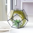 thumbnail image 2 of Stylish Geometric Shape Glass Flowerpot Succulents Plant Planter Container Landscape Decoration, 2 of 9