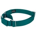 thumbnail image 3 of Country Brook Petz® Martingale Heavyduty Nylon Dog Collar and Double Handle Leash - Teal - Medium, 3 of 7