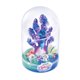 thumbnail image 5 of Kit de terrario DIY grande So Magic de Canal Toys, marino, 5 of 9