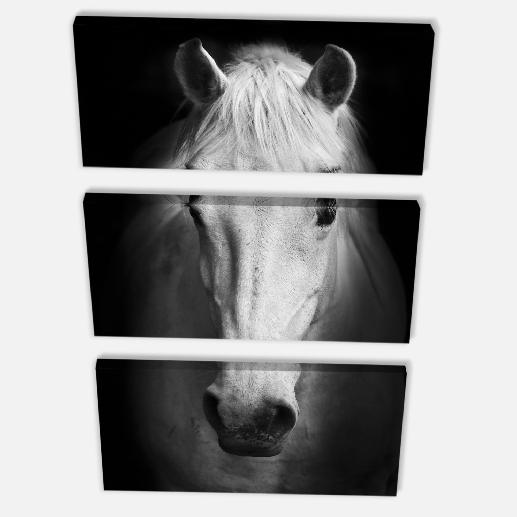 Designart 'White Horse Black and White ' Animal Canvas Art Print