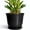 Black, variant on 12 inch Extra Large Plant Pots, Round Ceramic Planter with Drainage for Indoor Trees & Tall Plants, Modern Housewarming Gift, Blue Glaze