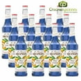 thumbnail image 1 of Monin Premium Blue Curacao Syrup, Electric Orange Peel & Citrus Mixer, 750 mL (25.4 oz) Glass Bottles, Professional Bulk Case of 12, 1 of 5