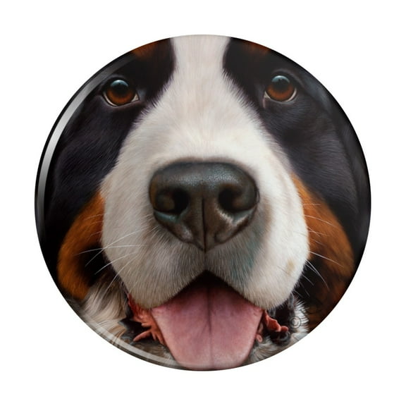 Bernese Mountain Dog Face Closeup Kitchen Refrigerator Locker Button Magnet