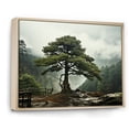 thumbnail image 2 of Designart "Tree Pines II" Landscape Trees Floater Framed Canvas Art Print, 2 of 7