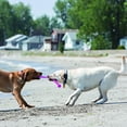 thumbnail image 4 of Juguete para Perros KONG Blanco Medio Assorted, 4 of 4