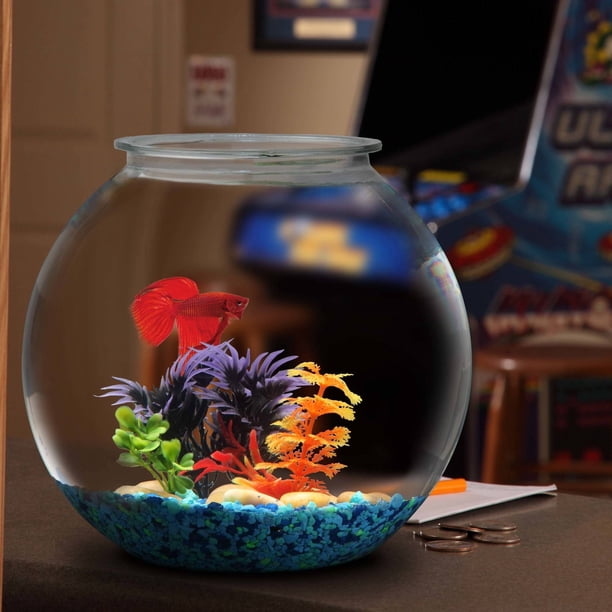 Hawkeye 2-Gallon Shatterproof Plastic Fish Bowl - Walmart Business