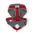thumbnail image 1 of Ancol - Arnés para Perros Viva Acolchado (Rojo, Gris), 1 of 2