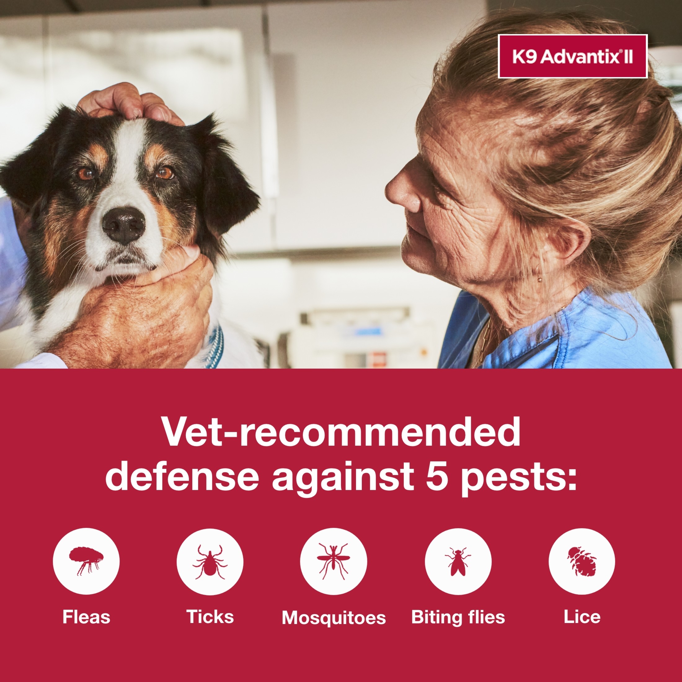 K9 Advantix II Flea Tick Medicine for Large Dogs 21 55 lbs 6 Month Medication Walmart