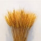 thumbnail image 4 of Bienvenido 100 piezas de flores artificiales plantas artificiales grandes flores secas de trigo gavillas de trigo secas naturales, racimos de tallos de trigo secos, trigo real para suministros de, 4 of 5