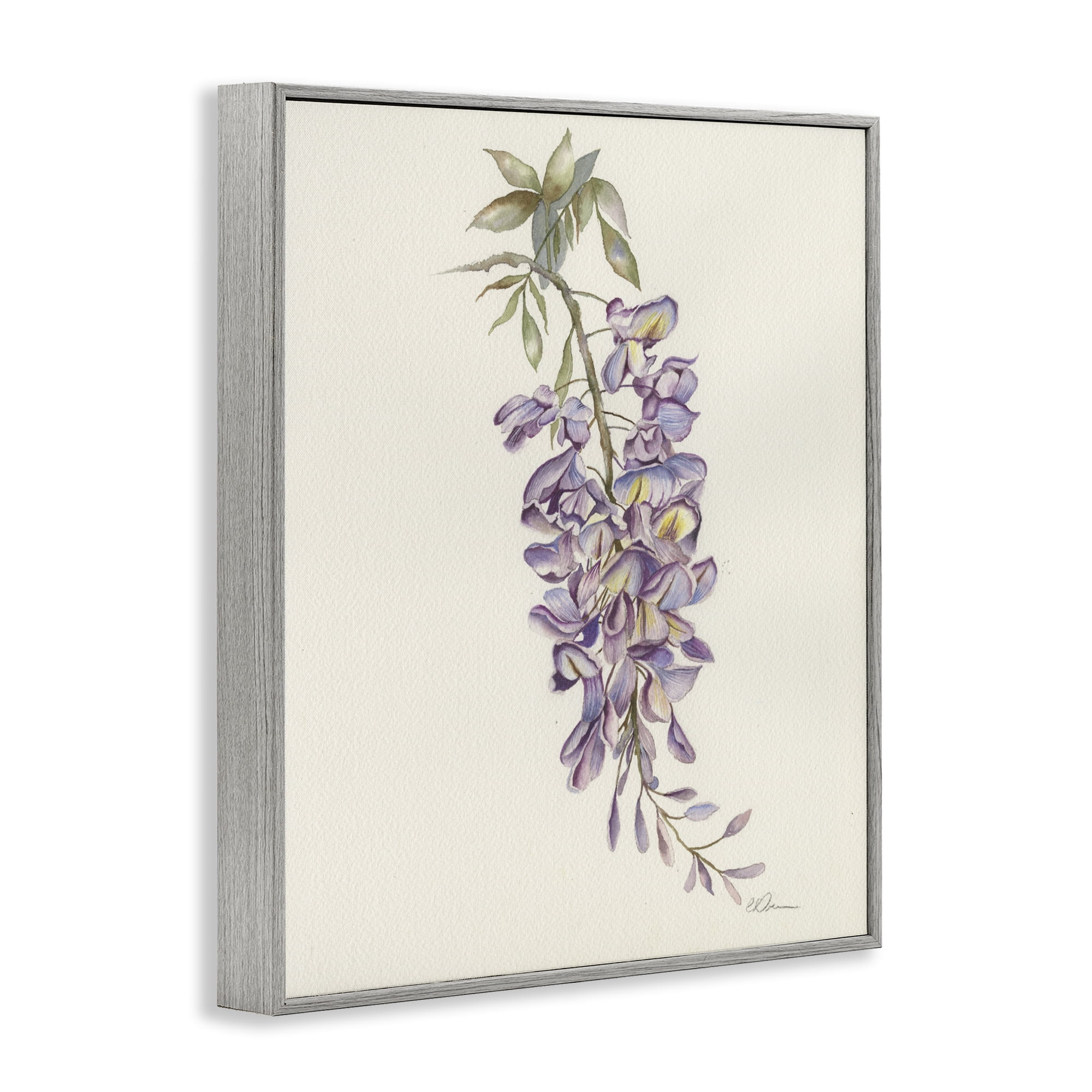 Stupell Industries Delicate Hyacinths Study Gray Framed Giclee Art, design by Cady Driver