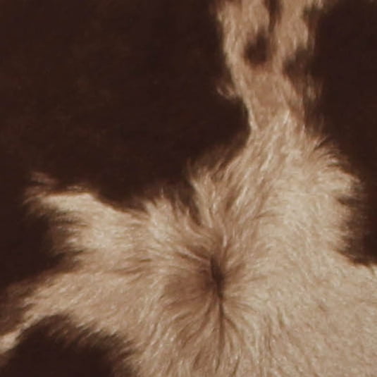 Cowhide Fox Hill Ellis Rolled Arm Chair Fox Hill Trading Buy