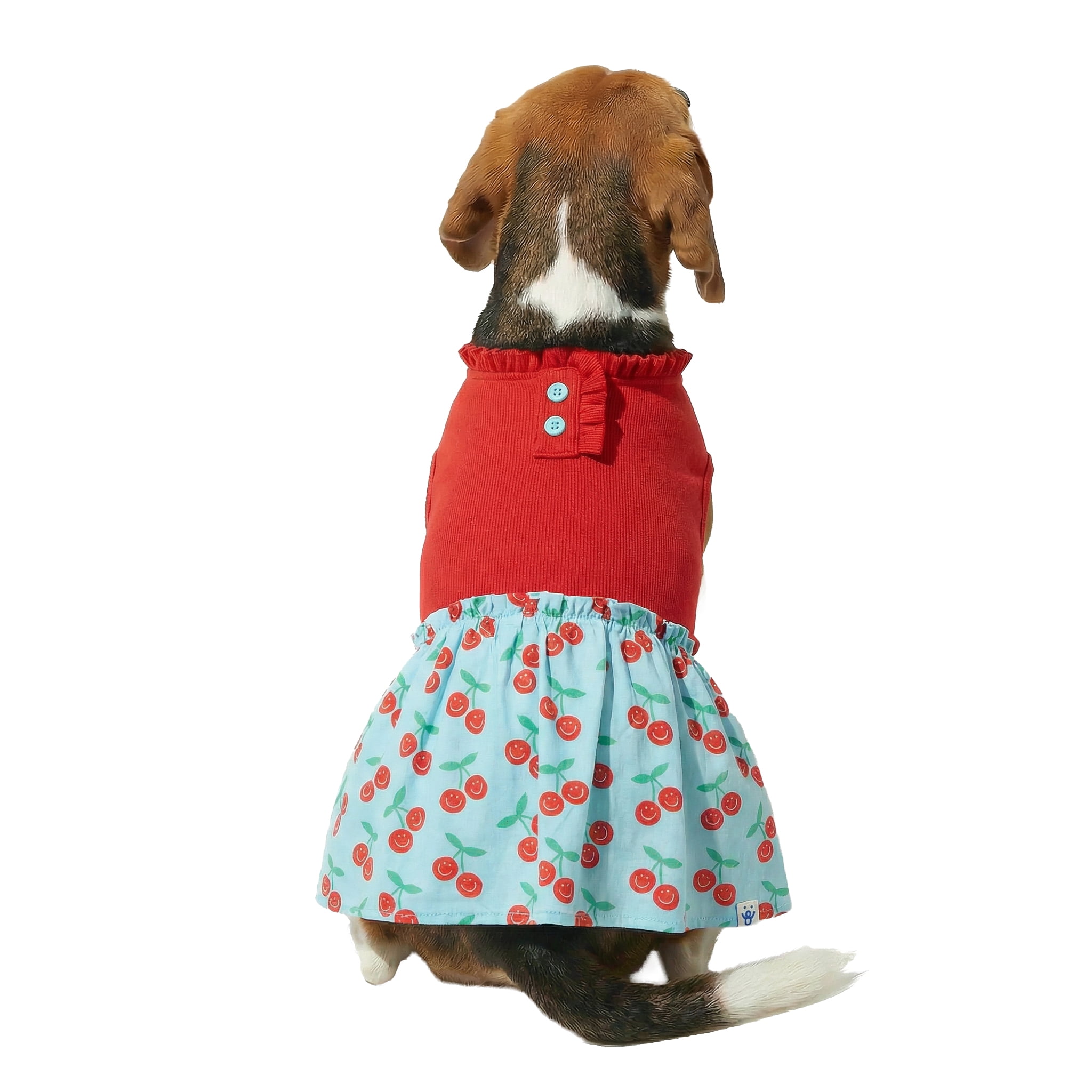 Oodles Blue Cherries Ruffled Spring Dog Dress, Medium