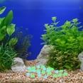 thumbnail image 7 of GOOHOCHY  300 PCS Fish Tank Rocks Large Pebbles for Aquarium Stones Gravel The, 7 of 7