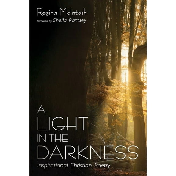 A Light in the Darkness (Paperback)