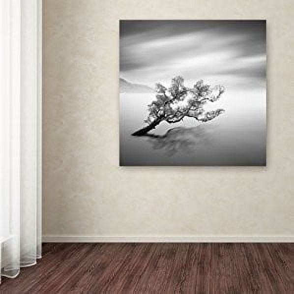 "Water Tree VI" Canvas Art by Moises Levy