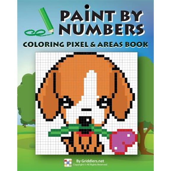 Paint by Numbers: Coloring Pixel & Areas Book (Paperback)