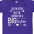 thumbnail image 4 of Inktastic So I'm Little, but I'm Gonna Be a Big Sister Girls Baby Bodysuit, 4 of 5