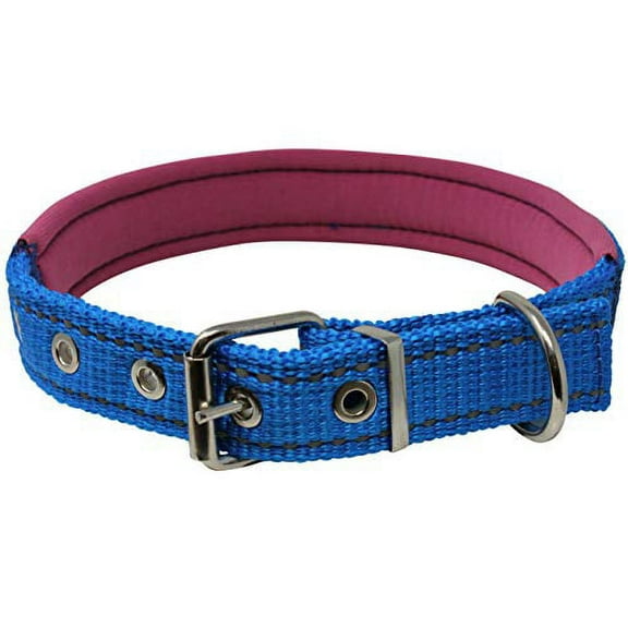 Soft Neoprene Padded Adjustable Reflective 1" Wide Classic Dog Collar Blue 3 Sizes