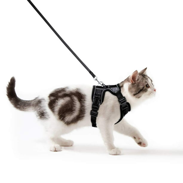 Rabbitgoo Cat Harness and Leash Set for Walking,Escape Proof with 59
