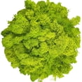 thumbnail image 2 of Moss Preserved Artificial Moss 8.8 oz Natural Fresh Green Moss for Craft Arts Floral Project Wall Decor Table Decor Wedding Centerpieces Garden Terrariums Decoration, 2 of 6