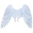 thumbnail image 1 of Cosplay Wing, Children Fake Wing, Halloween Decorative Cosplay Accessory For Cosplay Kids Angel Wing White Background + Light Blue Wings Print,Black, 1 of 8