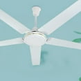 MANLINGDA 2pcs Ceiling Fan Extension Rods Long Extension Downrod Replacements Pole for Ceiling