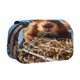 thumbnail image 1 of Disketp Close-Up Curious Squirrel Estuche de Lápices de Doble Capa con Tapa Abatible y Cremallera, Organizador Escolar para Adolescentes y Adultos, 1 of 7