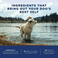 thumbnail image 6 of Natural Balance L.I.D. Limited Ingredient Diets Dry Dog Food, Chicken & Sweet Potato Formula, 4 Pounds, Grain Free, 6 of 11