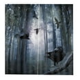 thumbnail image 2 of DOLITY Rideaux Anti-Occultants, Impression Effet 3D, 65x59 Pieds', 2 Panneaux/ensemble Corbeaux, 2 of 8