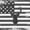 Black White Gray, variant on Castle Fairy Rustic Deer Full Size Bedding Sets 7 Pieces,Vintage American Flag Full Size Bed in a Bag,Black White Gray,Reversible