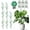 39.4''- 8 Pack, variant on Monstera  Support Stakes, 4 Pack Stackable Garden Trellis Climbing  Support Structures with Extension Poles for Indoor Outdoor Potted (28''- 4 Pack)