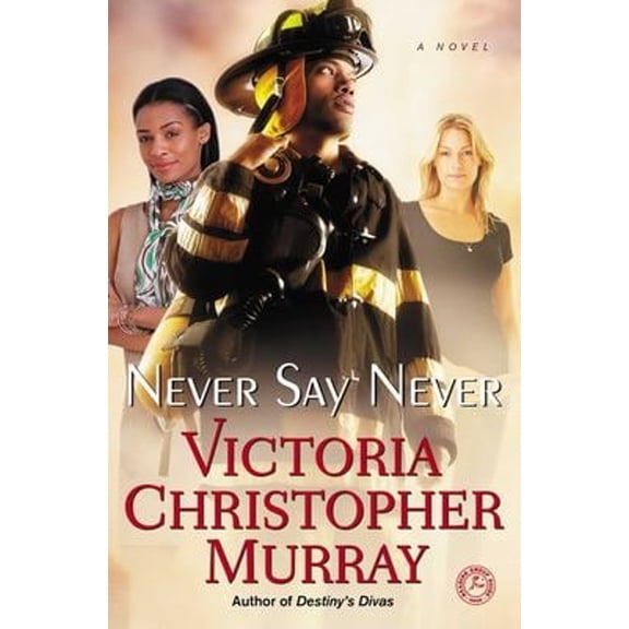 Pre-Owned Never Say Never (Paperback) 1451695772 9781451695779