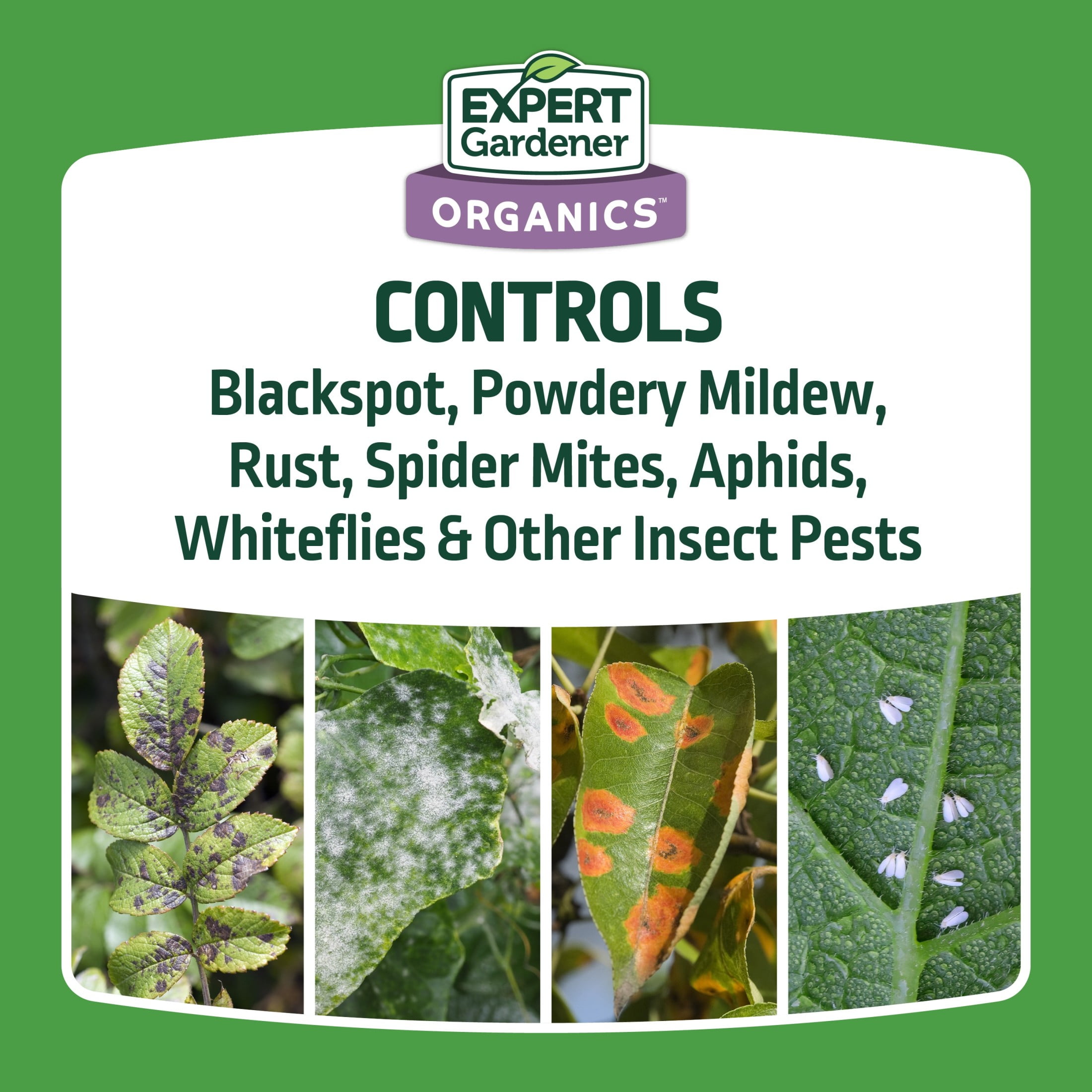 Expert Gardener Neem Oil Insect and Disease Control, 12 fl oz. Concentrate