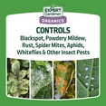 thumbnail image 4 of Expert Gardener Neem Oil Ready to Use, Insect Control, 32 Fl Oz, 4 of 12