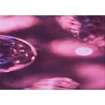 thumbnail image 1 of Ahgly Tapis Rectangulaire Lavable en Machine Intérieur Transitionnel Rose Néon, 2 Pieds x 3 Pieds, 1 of 7