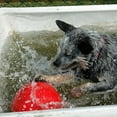 thumbnail image 4 of Boomer Ball 6in/150mm, 4 of 6