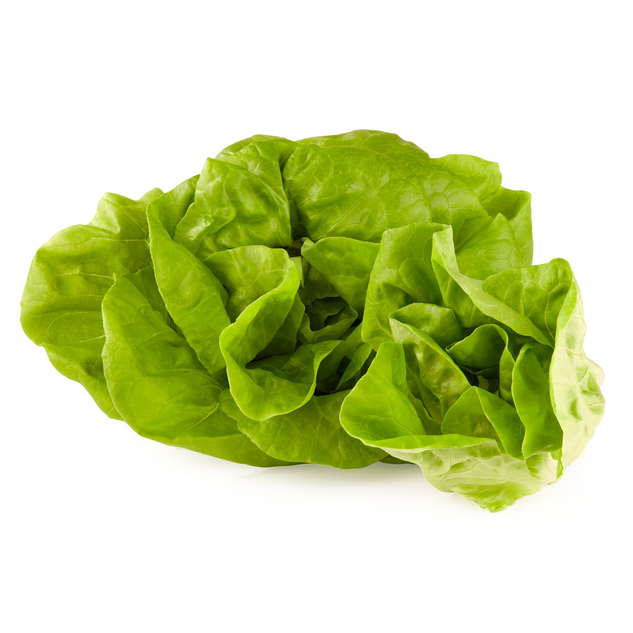 Fresh Butter Lettuce, Each