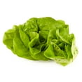 thumbnail image 5 of Fresh Butter Lettuce, Each, 5 of 5