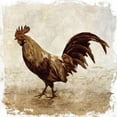 thumbnail image 2 of Rooster white border Poster Print by  PI Studio (24 x 24), 2 of 2