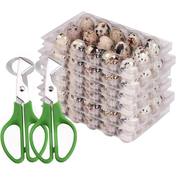 Quail Egg Cartons,15 Grids Small Egg Storage Holders,Quail Eggs Bulk Carton Trays & 2PCS Stainless Steel Cutter