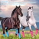 thumbnail image 3 of 4 Botas para Moscas Transpirables y Cómodas Resistentes Al Desgarro Evitan Pisotear las Botas de las Patas de los Caballos No Se Caen Fácilmente Protectores de Piernas de ANGGREK Otros, 3 of 8