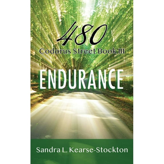 Endurance: 480 Codorus Street Book 3, (Hardcover)